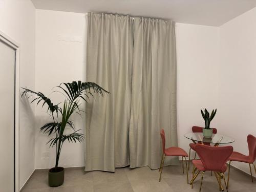 una sala da pranzo con un tavolo e una pianta di Siracusa Centro a Siracusa