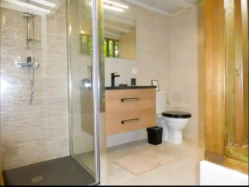 a bathroom with a shower and a sink and a toilet at Villa Ti Gîte - Piscine privée in Le Marin
