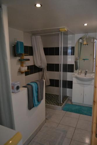 a bathroom with a shower and a sink at Le gite de la Lombriere in Saint-Denis-de-Pile