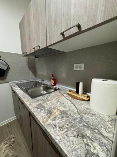 una cocina con fregadero y encimera en Elegant Escape 2, en Bucarest