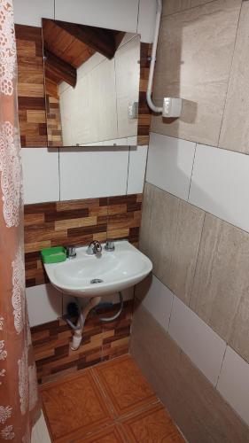a bathroom with a sink and a mirror at La Momia in Cholila