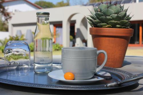 a plate with a cup and an orange on a table at Richtershuyz Luxury Accommodation in Pretoria