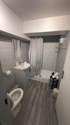 a bathroom with a toilet and a sink at Large Studio for Contractors, Families, Relocation Near New Cross Hospital in Monmore Green