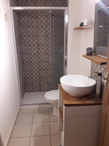 une salle de bain avec une douche, des toilettes et un lavabo dans l'établissement Le jardin des envies, à Candes-Saint-Martin