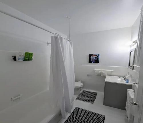 a bathroom with a shower and a toilet and a sink at Great Value Unit in Union A12 in Schenectady