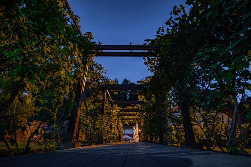a bridge over a road at night with trees at Q Resort and Spa in Săcele