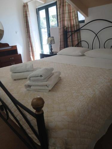 Postel nebo postele na pokoji v ubytování Victoria Mansion