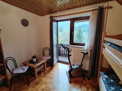 波希基斯卡贝拉Fantastic Apartment Brglez的一间带跑步机的房间和一间带窗户的房间
