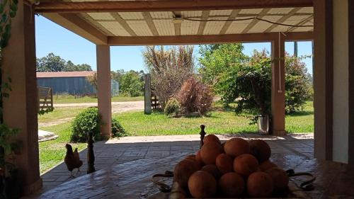 eine Schüssel Essen auf einem Tisch mit Vögeln im Hintergrund in der Unterkunft Santa Elena Casa de Campo in Federación