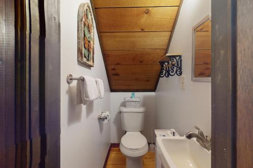 a bathroom with a toilet and a sink at Little Cub in Blue Ridge