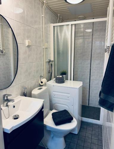 a bathroom with a toilet and a sink and a shower at Compact apartment in Rauma in Rauma