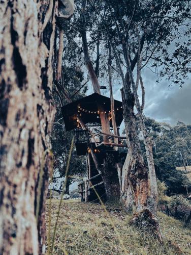 a tree house in the middle of a tree at El Agrado Restaurante Cabañas in Líbano