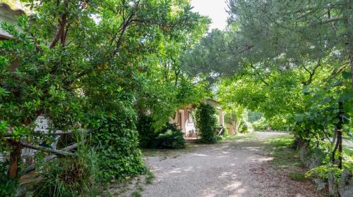 a dirt road with trees and a house at Casas Rurales Los Enebros Nerpio in Nerpio