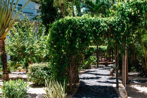 a garden with palm trees and a path at Hibiscus Boutique Hotel in Pereybere