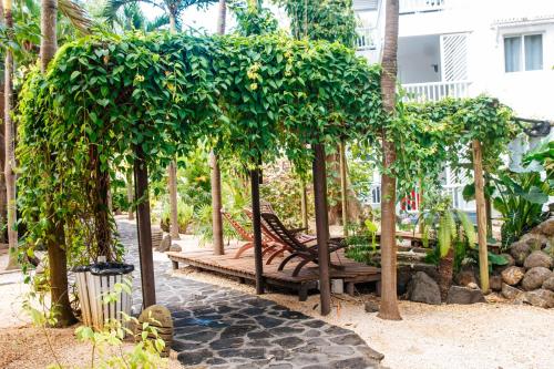 a group of benches sitting under trees in a garden at Hibiscus Boutique Hotel in Pereybere