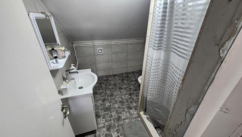 a small bathroom with a shower and a sink at Sobe i apartmani Djordjevic in Mladenovac