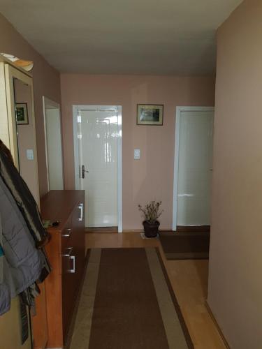 a room with a hallway with a door and a plant at Sobe i apartmani Djordjevic in Mladenovac