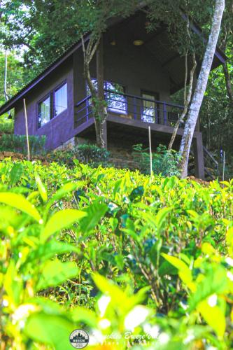 a house with a porch and bushes in front of it at Knuckles breeze villas in Huluganga