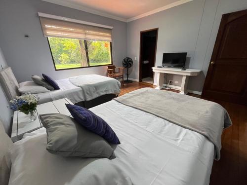 a room with two beds and a desk with a computer at La Casa de los Libros in Pereira