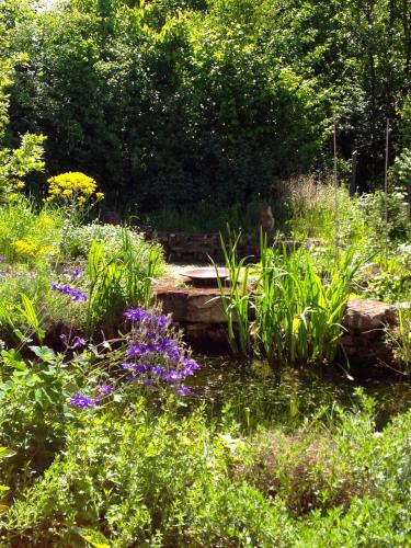 a garden with purple flowers and a pond at B&B 't Buitenkansje in Almere