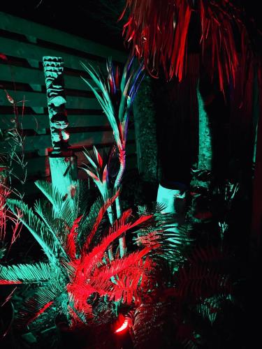 a plant with red lights in a dark room at Airstream Woodland Escape in Galston