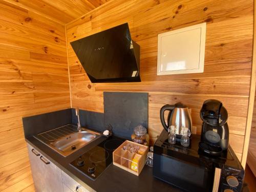 a small kitchen with a stove and a sink at Le chalet du hameau in Barbazan