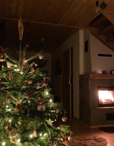 a christmas tree in a living room with a fireplace at Ciche Pole in Maniowy