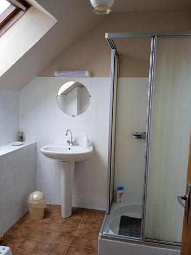 une salle de bain avec un lavabo et une douche dans l'établissement Ty Samy et Seb, à Mauron