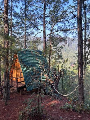 a tree house with a green roof in the woods at Cabaña privada en el bosque, cerca al rio Starlinkk in San Mateo Río Hondo