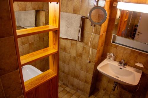 a small bathroom with a sink and a mirror at Haus zum Schiff in Ermatingen