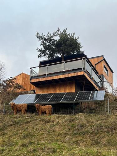 Chata Dorotka na sosne