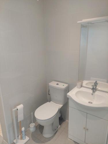 a white bathroom with a toilet and a sink at Gaby villa in Capesterre