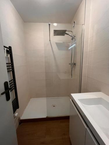une salle de bain avec douche et lavabo dans l'établissement T2 parking privé proche centre ville et gare, à Voiron