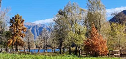 a group of trees with a lake in the background at AL 2789 Casa Vacanza in Ranzanico