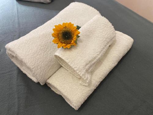 a yellow sunflower sitting on top of a towel at Appartamento Sorapiss in Lorenzago