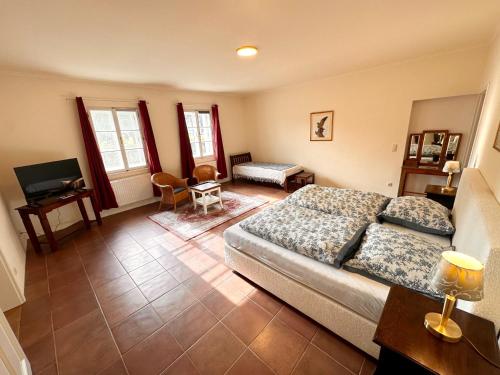 a bedroom with a bed and a desk and a television at Großräumige Ferienwohnung auf Gut Petronell in Petronell