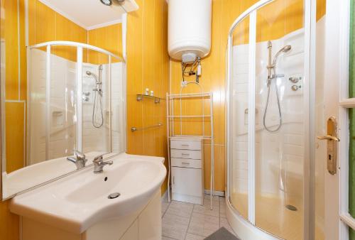 a bathroom with a sink and a shower at Studio Centre Saint-Girons in Saint-Girons