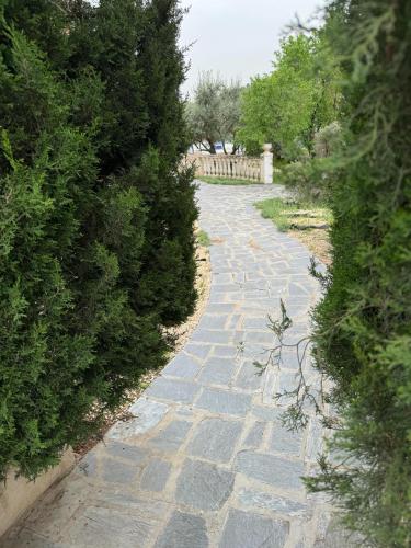 a stone path with bushes on either side at Torre Calera in Arganda del Rey