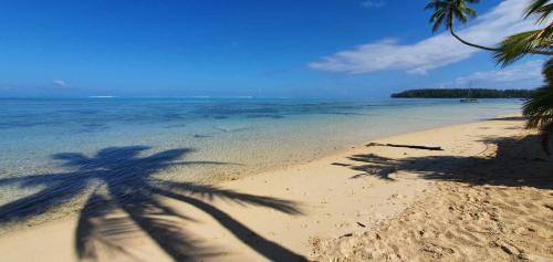 MOOREA - Tropical Cottage