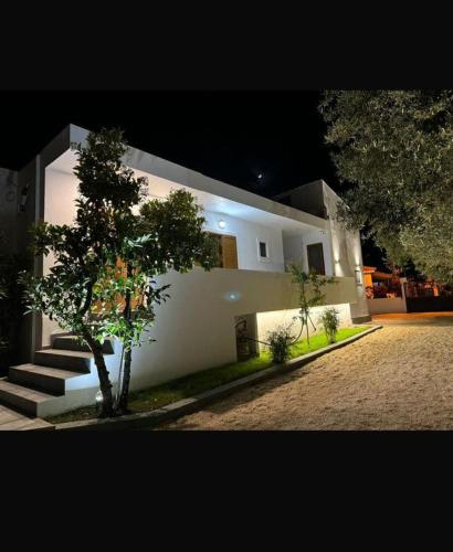 a white house with a tree in front of it at VILA GOLDEN SAND in Ksamil