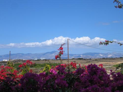 Gallery image of Aella Residence in Naousa