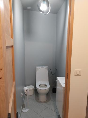 a small bathroom with a toilet and a sink at Le murmure du ruisseau - Pièce de vie 60 m2 - Terrasse 30 M2 - 2 WC in Sémeries