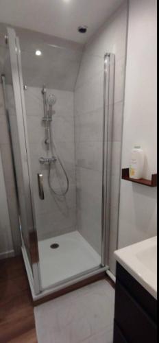 une douche avec une porte vitrée dans une salle de bain dans l'établissement Le Doubs Montjoux, à Besançon