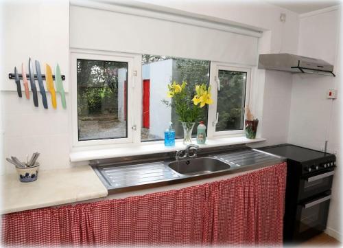 a kitchen with a sink and two windows at Village House, Finuge, County Kerry in Fionnúig