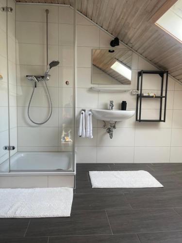 a bathroom with a shower and a sink at Familiennest Blaustein-Ulm Hunde auf Anfrage in Blaustein