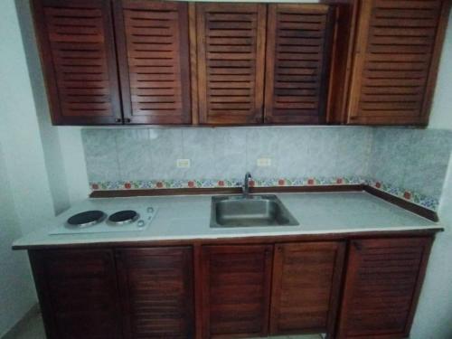 La LomaにあるApartamento en puerta del solのシンクと木製のキャビネットを備えたキッチン