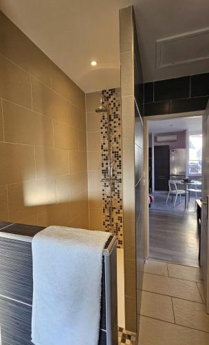 Appartement PETIT SAINT GIMER