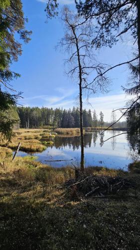 Příroda nedaleko apartmánu