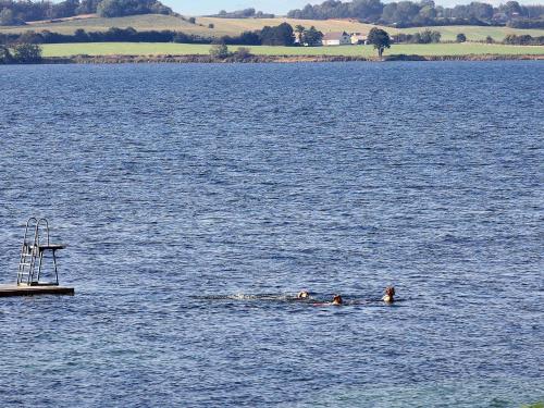 three people swimming in a large body of water at 4 person holiday home on a holiday park in Faaborg in Fåborg