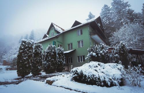 a house covered in snow with trees in front of it at Pensiunea Limpedea in Baia-Sprie